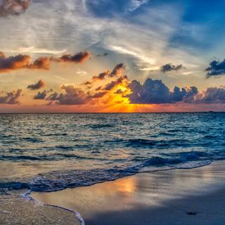 Summer nature sunset wallpaper