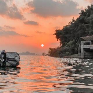 Summer nature sunset wallpaper