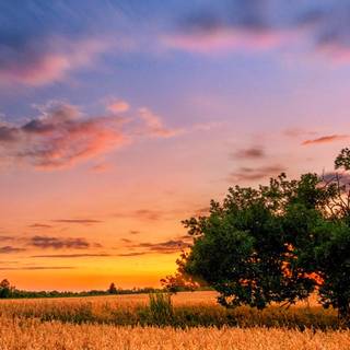 Summer nature sunset wallpaper