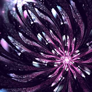 Black purple 4k wallpaper