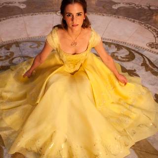 Beauty and The Beast 4k wallpaper