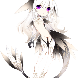 Zymphohia species wallpaper