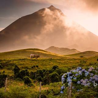 Pico Island wallpaper