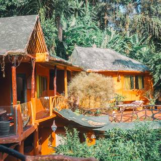 Jungle house wallpaper