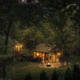 Jungle house wallpaper