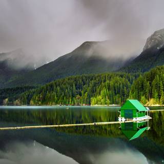 Jungle house wallpaper