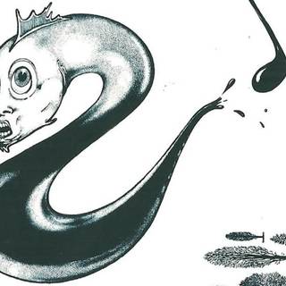 Pescado Rabioso wallpaper