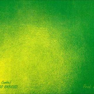 Pescado Rabioso wallpaper