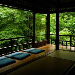 Jungle house wallpaper