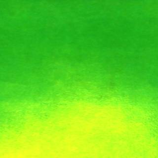 Pescado Rabioso wallpaper