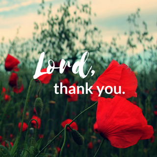 Thank You God wallpaper