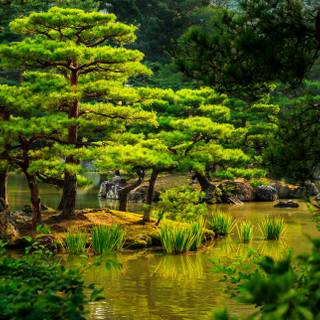 Japan nature 4k wallpaper