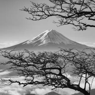 Japan nature 4k wallpaper