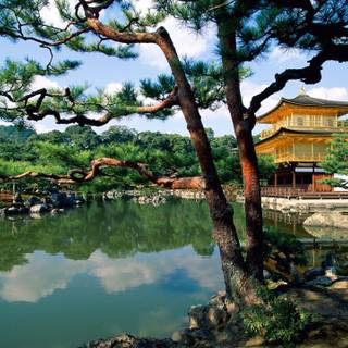 Japan nature 4k wallpaper