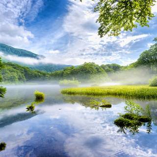 Japan nature 4k wallpaper