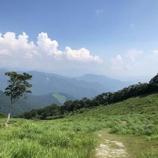 Japan nature 4k wallpaper