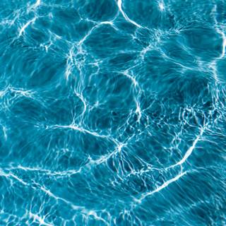 Close up summer wallpaper