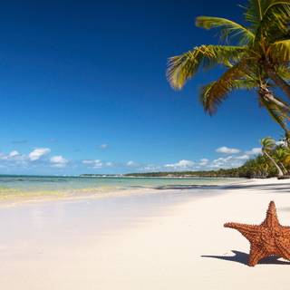 Beach desktop 4k wallpaper