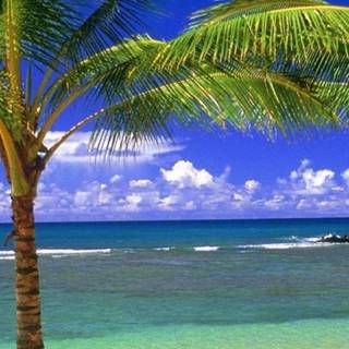 Beach 4k mobile wallpaper