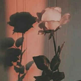 Aesthetic iPad 4k wallpaper