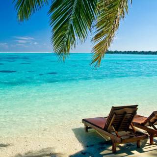 Beach desktop 4k wallpaper