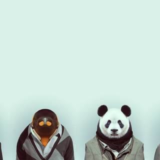 4k animals PC wallpaper