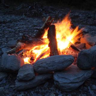 Summer camp fire wallpaper