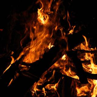Summer camp fire wallpaper