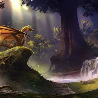 Dragon 4k PC wallpaper