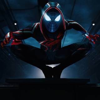 Spider-Man 4k black wallpaper