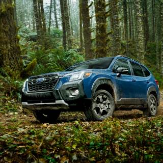 Subaru Forester 2023 wallpaper