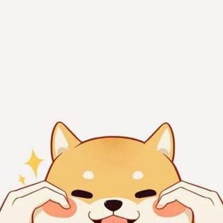 Chubby dog wallpaper