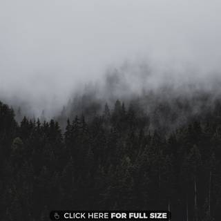 4k PC white wallpaper