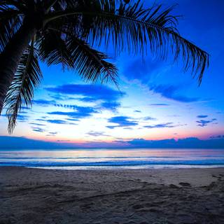 Blue nature 4k wallpaper