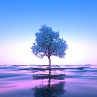 Blue nature 4k wallpaper