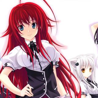Rias Gremory PC wallpaper