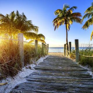 Florida 4k wallpaper