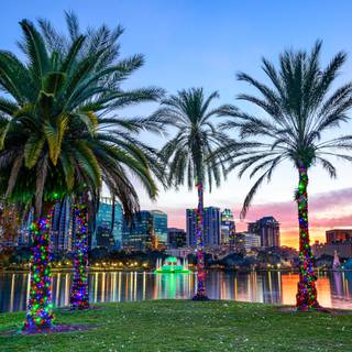 Florida 4k wallpaper