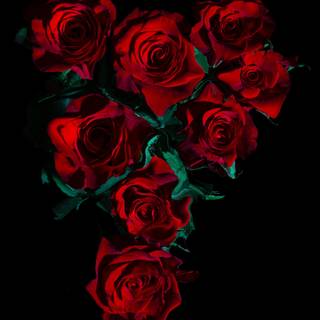 4k roses wallpaper