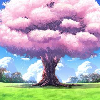 Sakura anime tree wallpaper