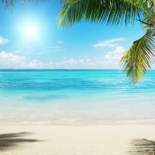 Summer season beach wallpaper