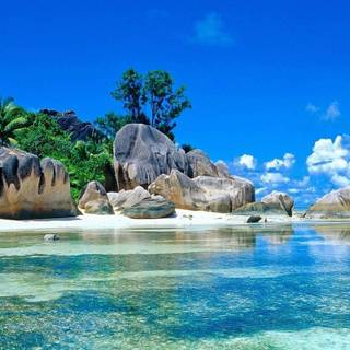 Summer season beach wallpaper