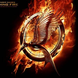 The Hunger Games Catching Fire wallpaper
