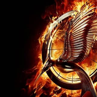 The Hunger Games Catching Fire wallpaper