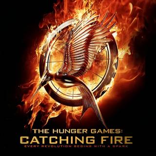 The Hunger Games Catching Fire wallpaper