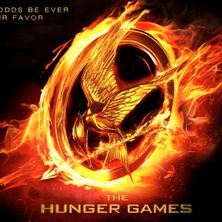 The Hunger Games Catching Fire wallpaper