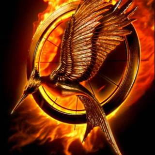 The Hunger Games Catching Fire wallpaper