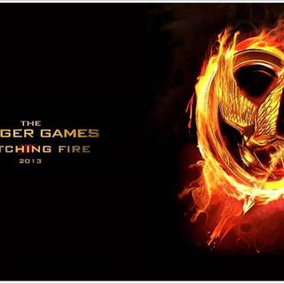 The Hunger Games Catching Fire wallpaper