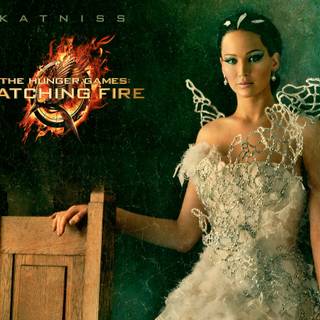 The Hunger Games Catching Fire wallpaper