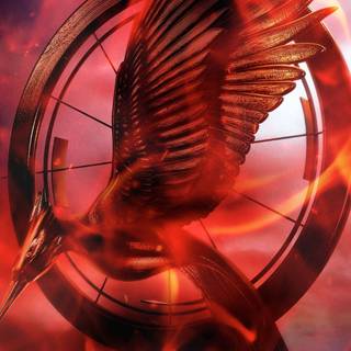 The Hunger Games Catching Fire wallpaper